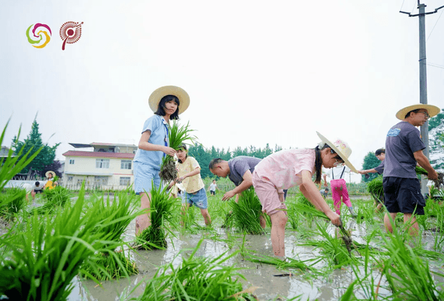 守护千年柏条河  彭州少年沉浸式体验生态研学之旅