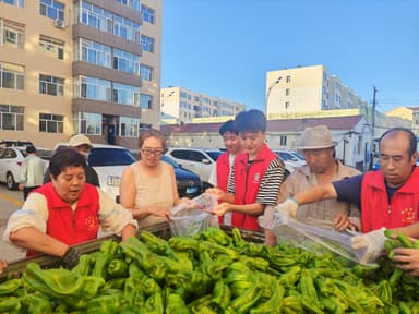 内蒙古赤峰市林西县：一袋蔬菜里的治理温度