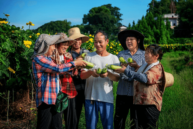 胡百闻│2025:行摄时光又一载