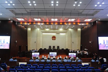 湖南法院依法审理王猛黑社会性质组织案