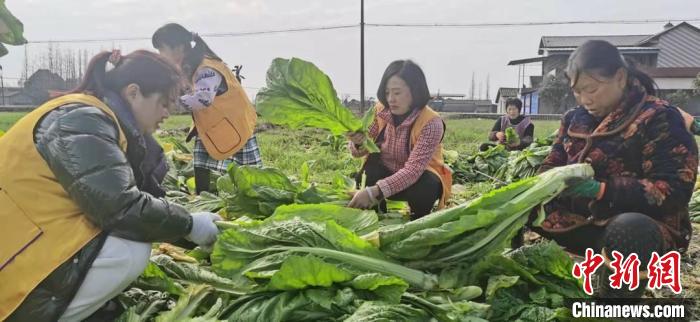 帮助郑州后再伸援手 四川绵竹捐赠西安20吨爱心蔬菜
