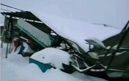 受降雪影响 辽宁鞍山一农贸市场发生坍塌 多台车辆被砸