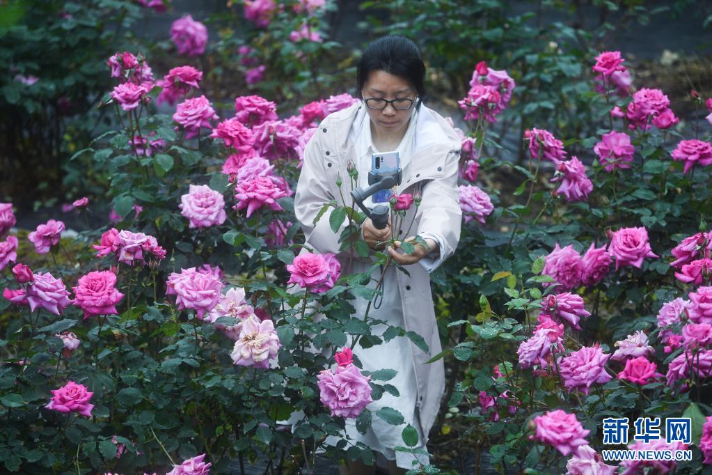 杭州临安：打造“人才引擎”赋能乡村振兴