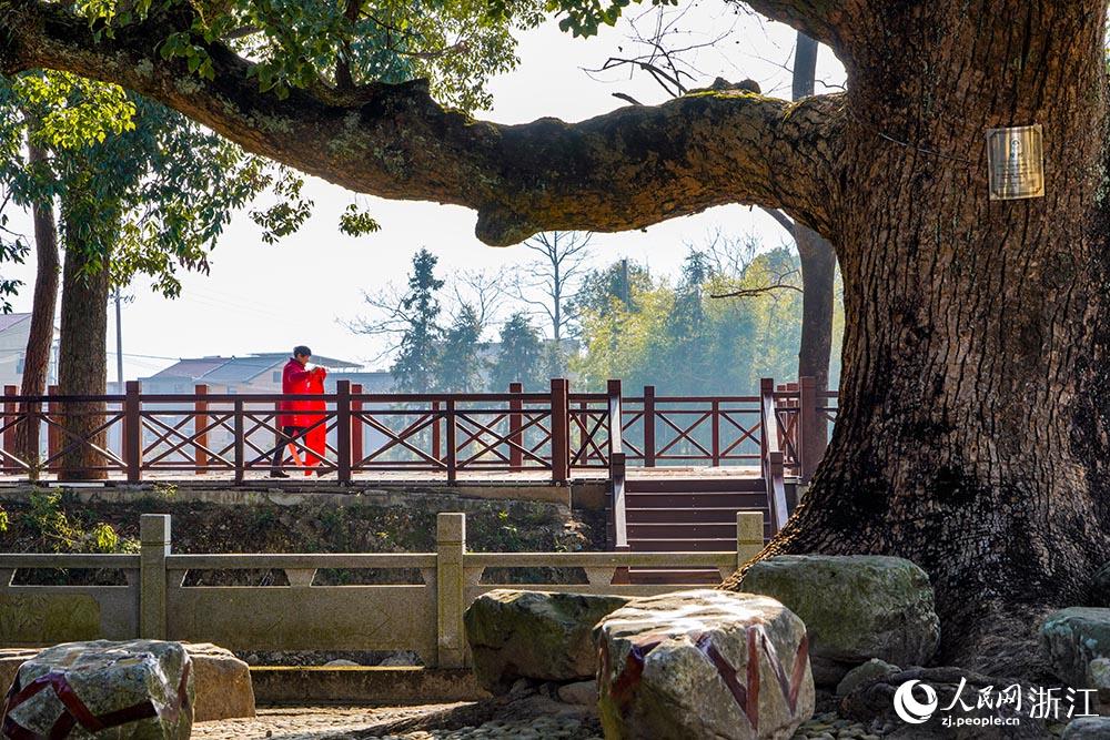 宁波宁海：艺术点亮乡村 文化振兴乡村