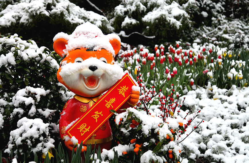 杭州西湖：皑皑白雪飞 著花香自来