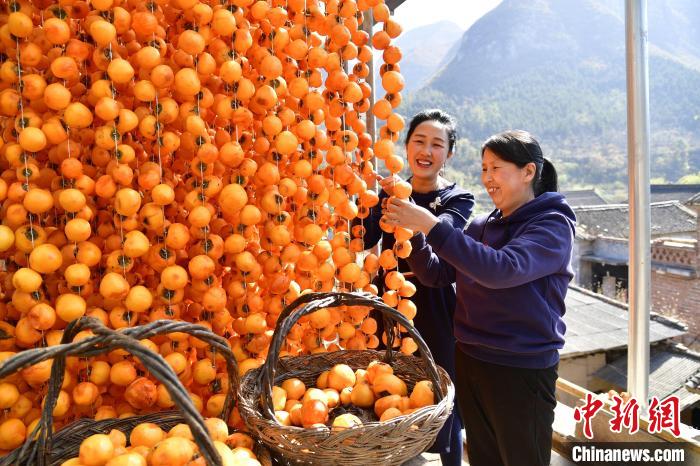 山西黎城：“柿业”兴旺促增收
