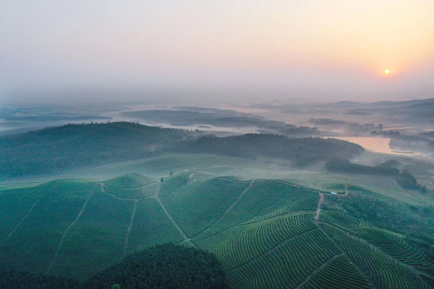 江西上高：茶旅田园综合体助力乡村振兴