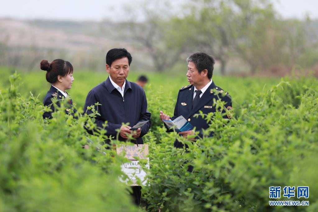 河北内丘：知识产权普及进基层