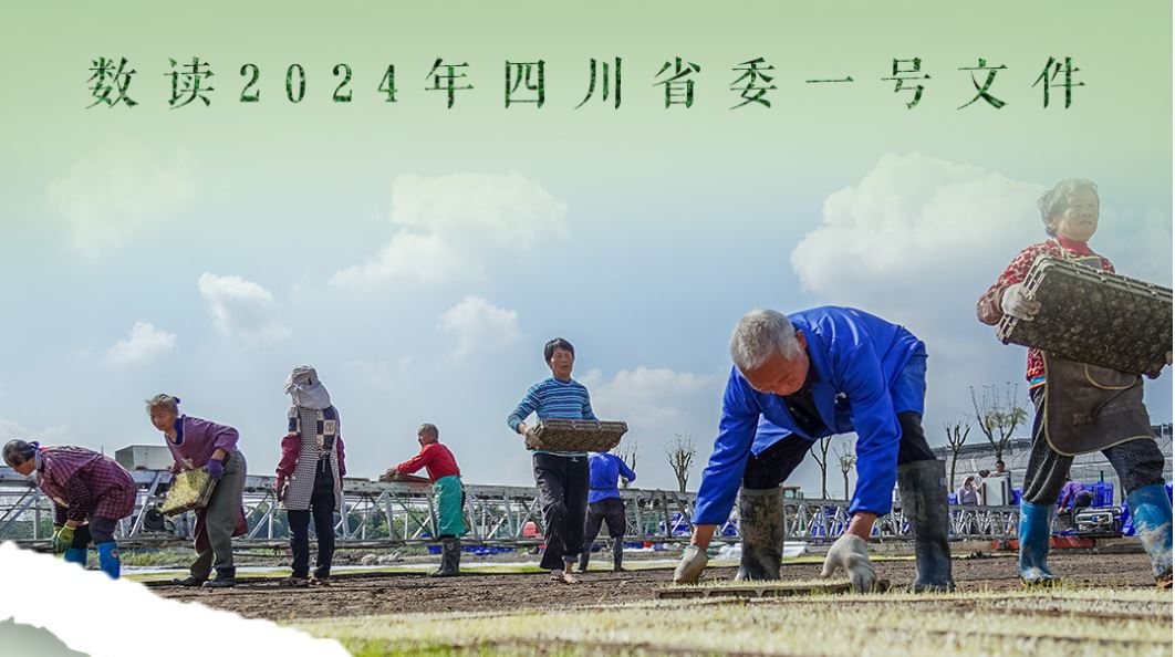 12组数据看2024年四川如何建设宜居宜业和美乡村