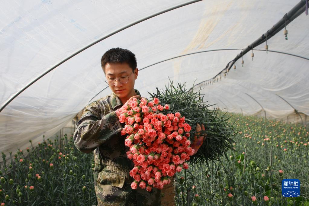[新春走基层]“鲜花经济”助农增收
