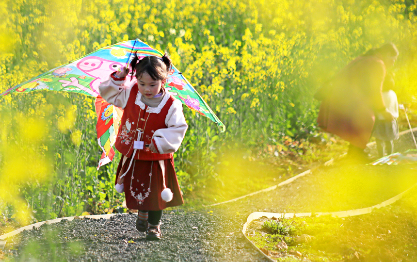 江西宜丰：油菜花开引客来