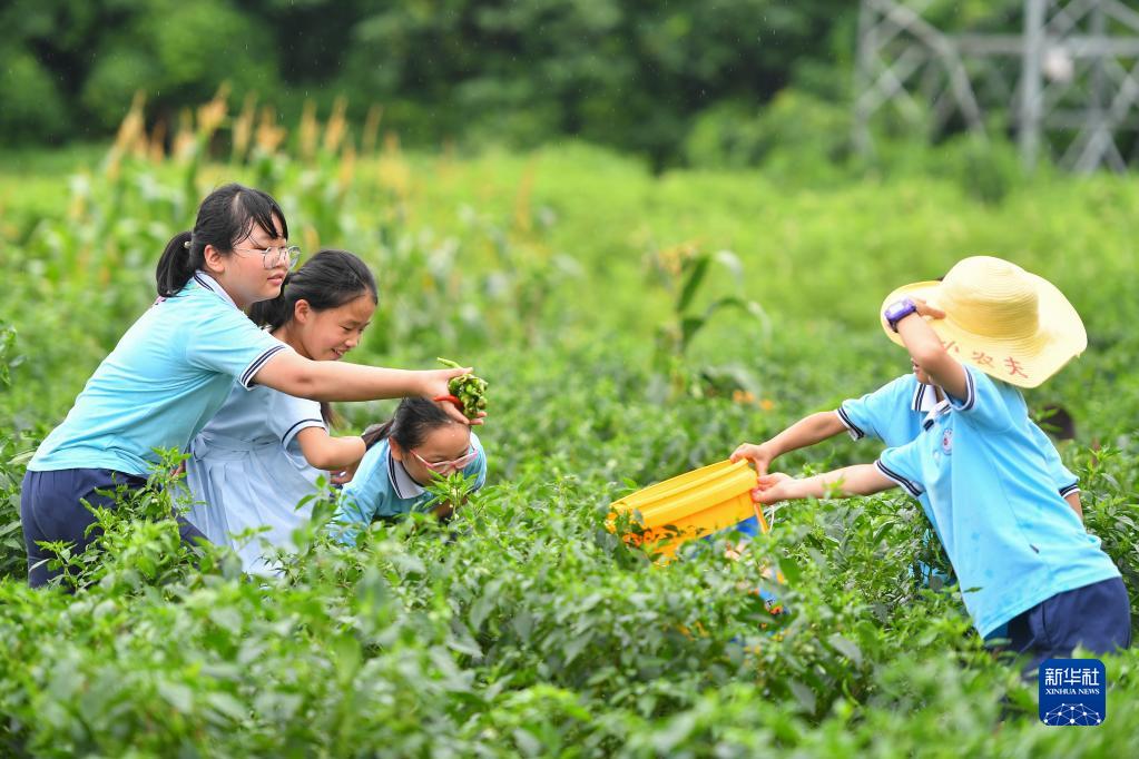 湖南雨湖：体验农耕文化 丰富暑期生活