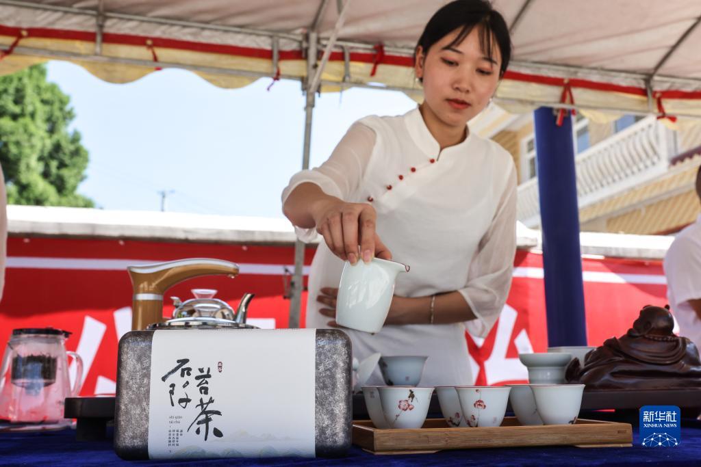 贵州石阡：一片茶叶托起乡村振兴路