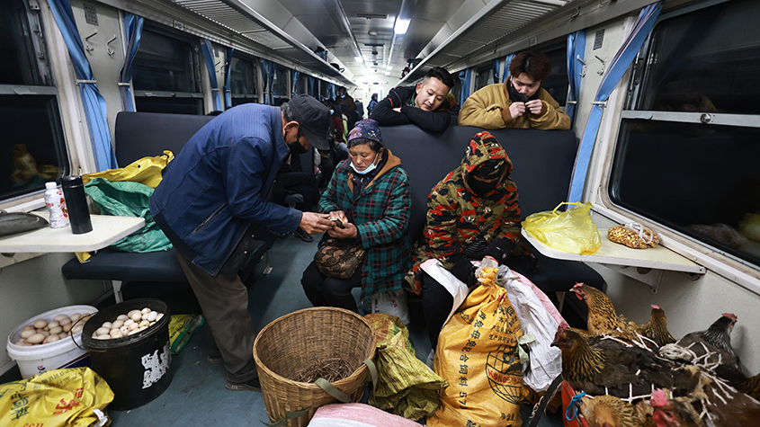 大凉山的“慢火车”：家禽家畜与乘客共处