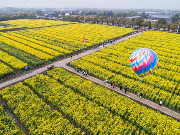 山东潍坊：创新提升“三个模式” 打造全国乡村振兴样板